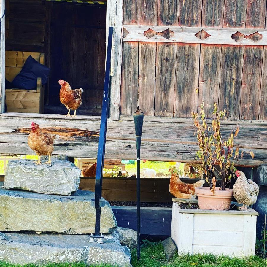 Апартаменти Hesla Farm Каґолоґоло Екстер'єр фото